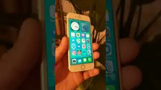 Моя коллекция. #iPhone6s