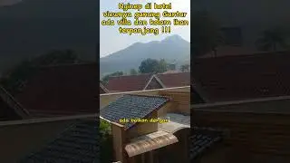 Hotel Cahaya Villa Garut|hotel dengan pemandangan gunung Guntur|ada kolam ikan terpanjang| #shorts