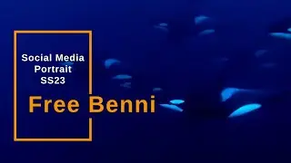 Free Benni - Media Production