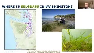 Kelp and Eelgrass Jan. 31, 2023 Workshop