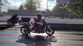 Vmax vs Rebel