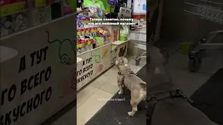 He has his own connections here 😅