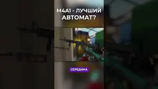 M4A1 - ЛУЧШИЙ АВТОМАТ В POLYWAR?