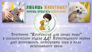 Ветеринария для самых юных.