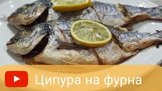 Ципура на фурна