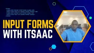 html input element:html input tag