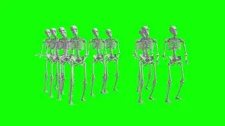 TENGE GREEN SCREEN - Skeleton #tenge #greenscreen