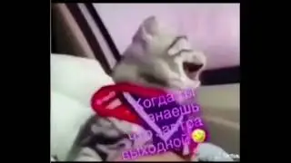 Завтра выходной
