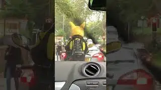 Who’s that Pokémon? IRL 