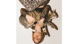 Perel - Karlsson (Bloody Mary Cat’s On Acid Remix)