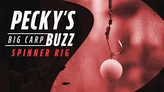 Darrell Peck Spinner Rig | Pecky’s Big Carp Buzz