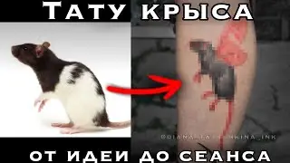 КРЫСИНАЯ ТАТУИРОВКА. От идеи до эскиза, от эскиза до сеанса.