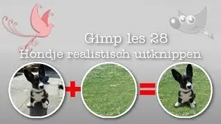 Dier met korte vacht uitknippen voor andere achtergrond