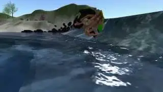 Surfing at Bluff Cove