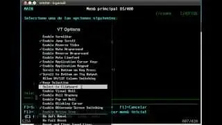tn5250 clipboard integration on GNU/Linux