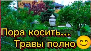 Холод, а трава, как на дрожжах👏