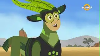 Frații Kratt - Jocul lanțului hranei (Sezonul 1, EP 31)