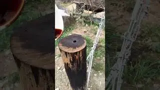 Подвесной мост в процессе!