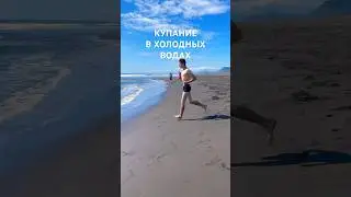 На Камчатке в августе можно купать в бухте и Тихом океане 