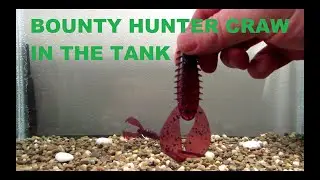 Bounty Hunter Baits Craw tank test