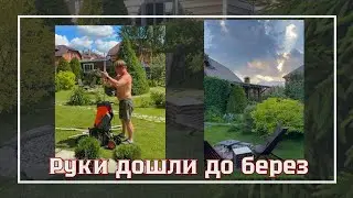 СПИЛИЛИ БЕРЕЗЫ🌿МУЛЬЧА ИЗ ВЕТОК🌸ОТДЫХАЕМ В НОВОЙ ЗОНЕ ОТДЫХА