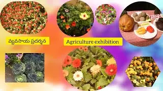2010 లో హైదరాబాద్ పీపుల్స్ ప్లాజాలో జరిగిన మొక్కల ప్రదర్శన || #peoplesplaza || plant exhibition