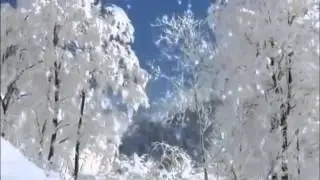 Бекк Виктор - Света белого не видать (Стихи Сибирячка (Екатерина Комарова))