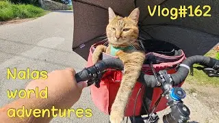 Vilnious - Escaping the heat 🔥 Vlog #162