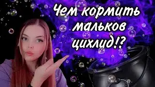 Делаем корм для мальков цихлид! / Чем кормить малька цихлид?