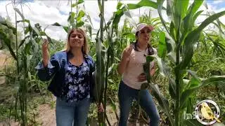 ‼️POR UNA MUJER BONITA ‼️