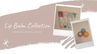 lip balm collection: glossier, eos, lush, vaseline!
