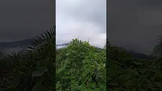 #nature #beautiful #youtubeshorts #mkaimchannel