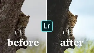 MY EDIT on YOUR PHOTOS I Adobe Lightroom Workflow