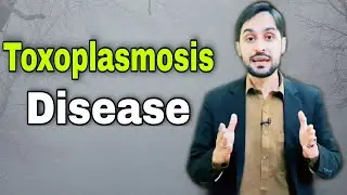 Toxoplasmosis | Toxoplasmosis Test | Toxoplasmosis Transmission