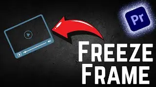 How To Freeze Frame In Premiere Pro 2024