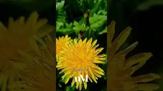 Сила в Тобі Боже 