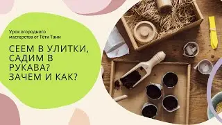 Сеем в улитки, Садим в рукава...