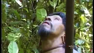🔴Live 24/7: Tears Of The Girls In Amazon Rain Forest - 아마존의 눈물 EP.19