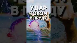 Опасный пруд-убийца!