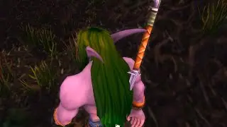 Fantasy ELF race Фэнтези раса эльфов World of Warcraft footage blizzard wow Тельдрассил Teldrassil