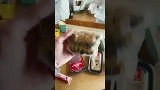 #shorts распакоука