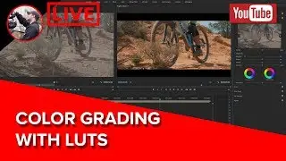 🔴 Color Grading With LUTs - Featuring Some of My Favorite LUT Packs