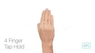 Touch Gestures 4K. After Effects Project on Videohive.net