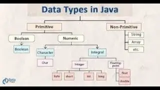 What are Data Type In Java? | Java Programming For Beginners