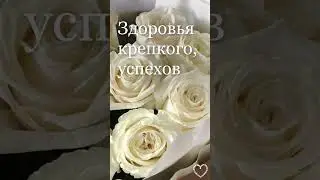 Сестра, с днём рождения! #открытка