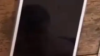 Зарядник, который мы заслужили