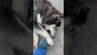 Что происходит на свете?