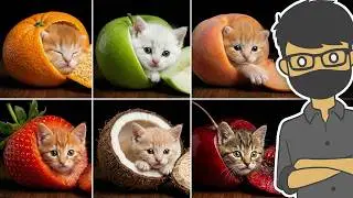 20 VIDEO KUCING IMUT TERLUCU 🤣🐱