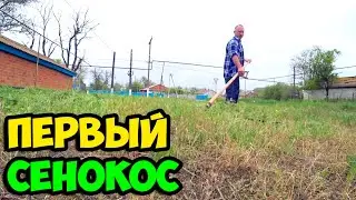 Сюжет из жизни в деревне о том, как я получил первый опыт работы с ручной косой для косьбы травы