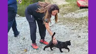 Pet Food Drive for Shelters Affected by Hurricanes